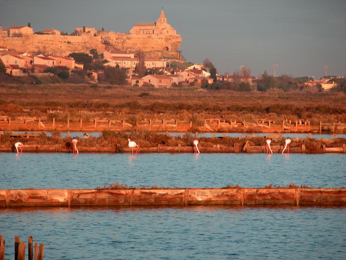 À la découverte des Salins, Médiathèque métropolitaine de Fos-sur-mer, Fos-sur-Mer