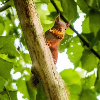 A la rencontre de la biodiversité, Parc de la Citadelle, Lille