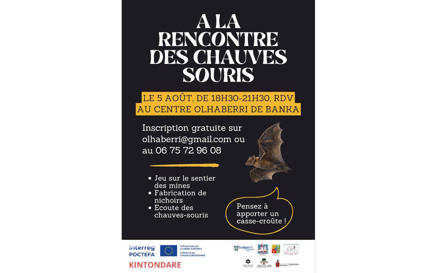 A la rencontre des chauves-souris  Banca