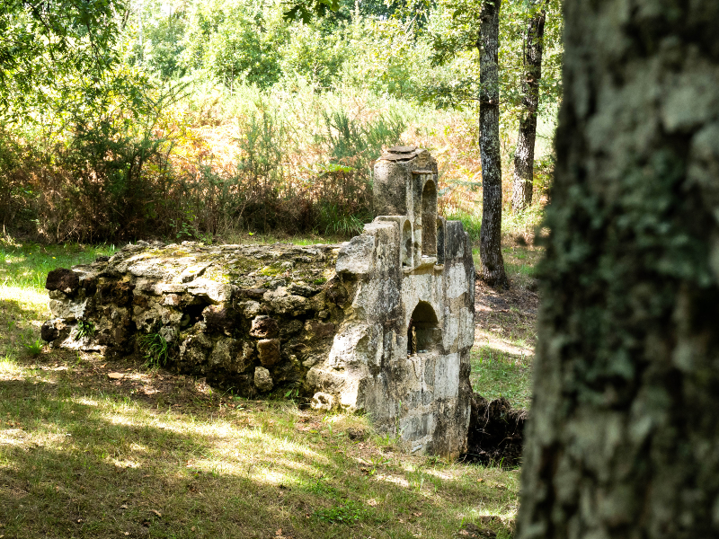 A pas perdus sur les rives de la Leyre Relais nature Le Teich