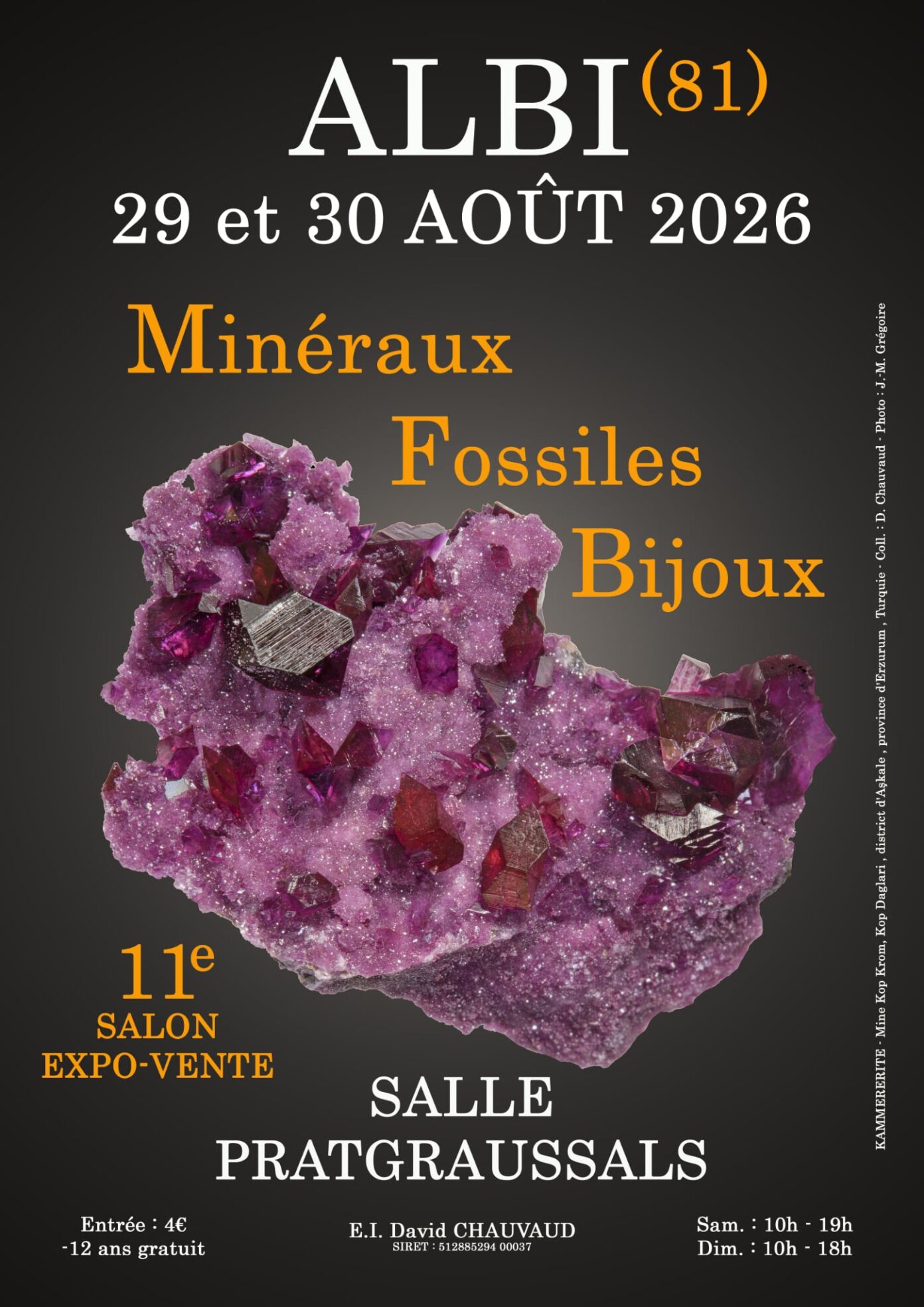 11e SALON MINERAUX FOSSILES BIJOUX d&rsquo;ALBI (Tarn) Salle Pratgraussals