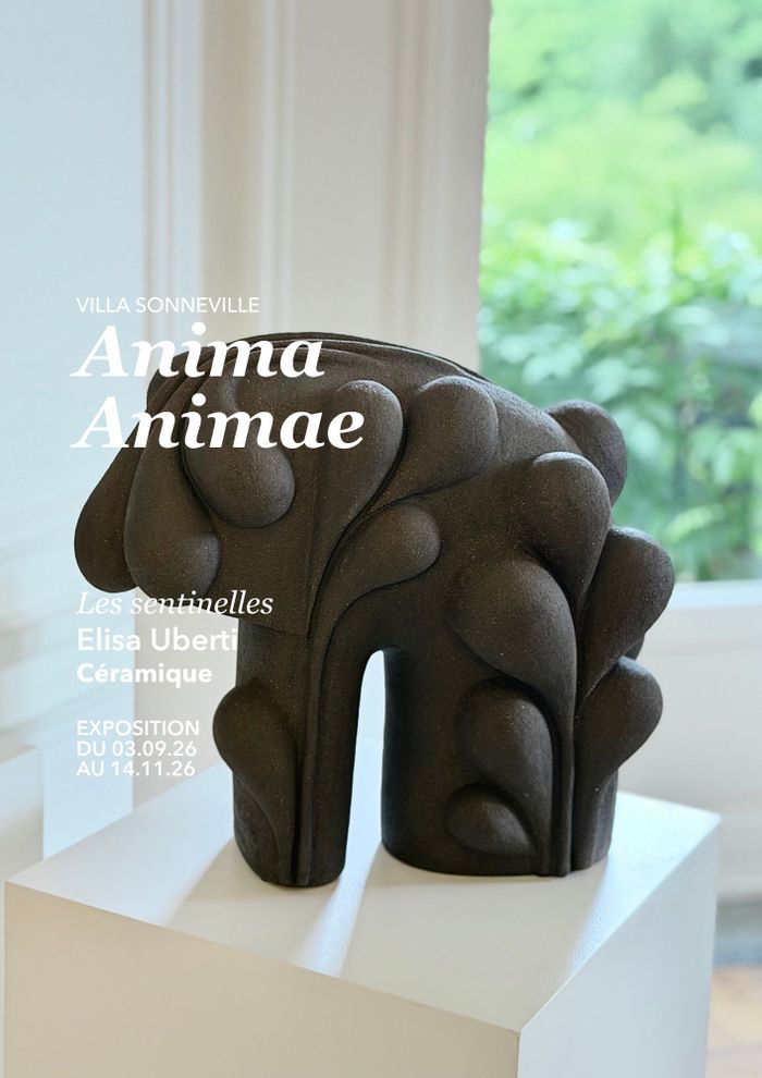 Anima, Animae, VILLA SONNEVILLE, Roubaix