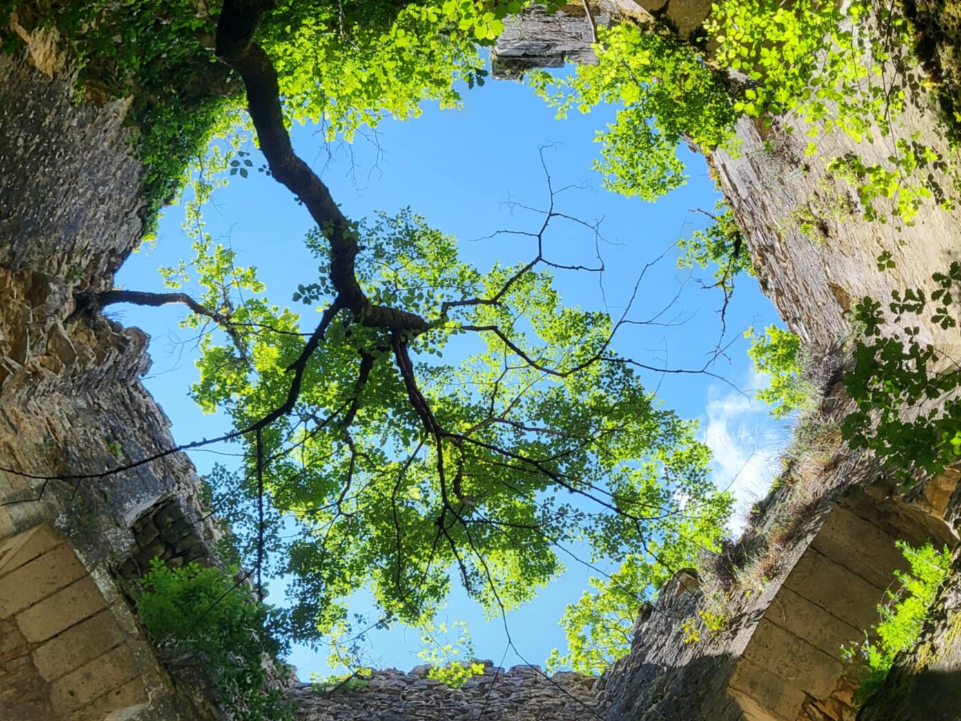 Animations au château de La Renaudie Saint-Front-la-Rivière