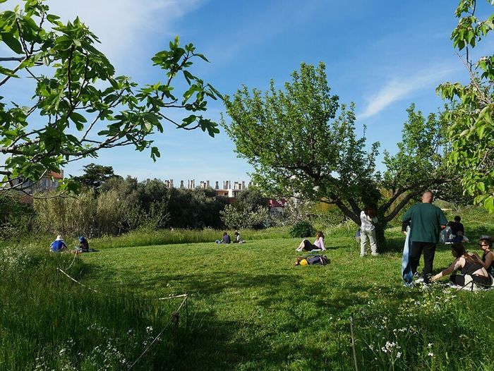 Animations au jardin Levat : Une journée de découverte et de convivialité, Jardin L.E.V.A.T, Marseille