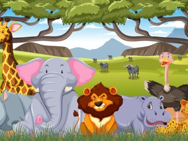 ANIMAUX DE LA SAVANE EN GOMMETTES, Maison de quartier du Courghain, Grande-Synthe