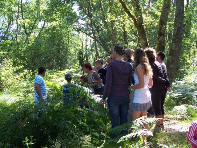 Annulé Balade nature en forêt Landaise  Pontenx-les-Forges