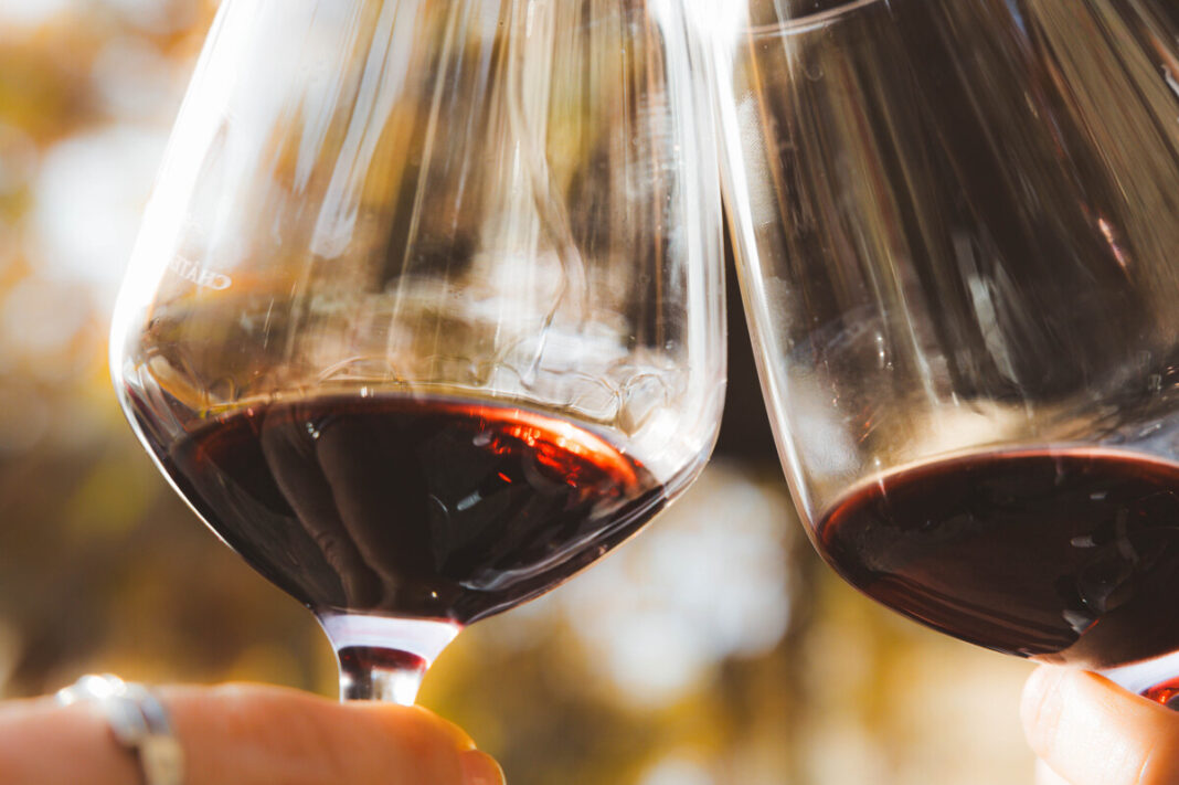 APERITIF VIGNERON AU DOMAINE VILLECLARE  Palau-del-Vidre