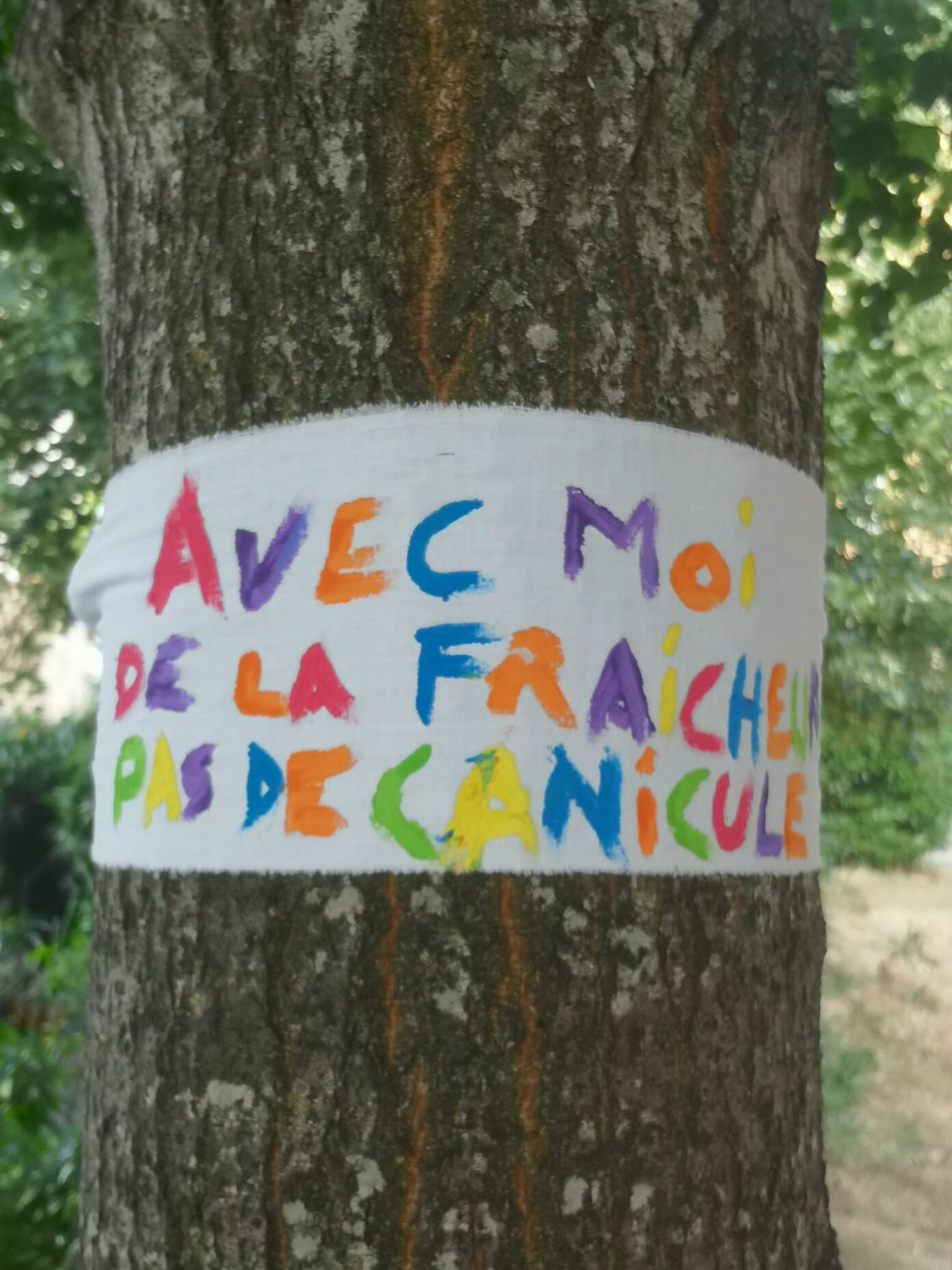 arbre avec banderole