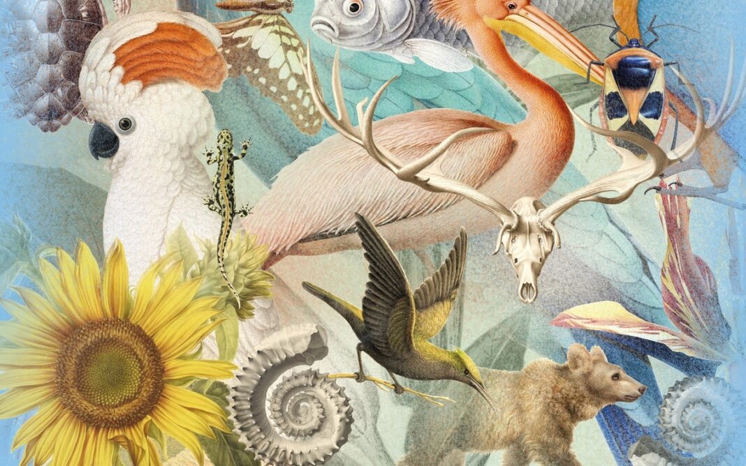 Artistes au Muséum Muséum national d&rsquo;Histoire naturelle – Grande Galerie de l&rsquo;Évolution Paris