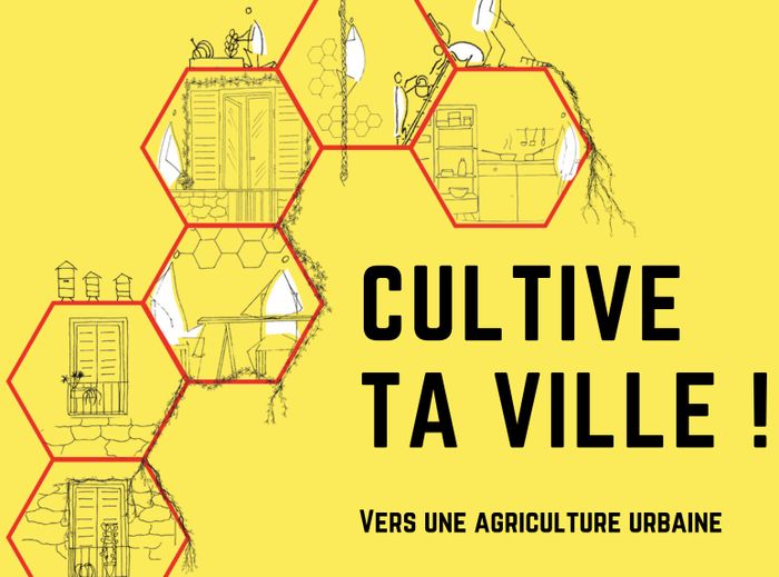 Atelier à télécharger « Cultive ta ville, vers une agriculture urbaine », Hotel de ville de Marseille, Marseille