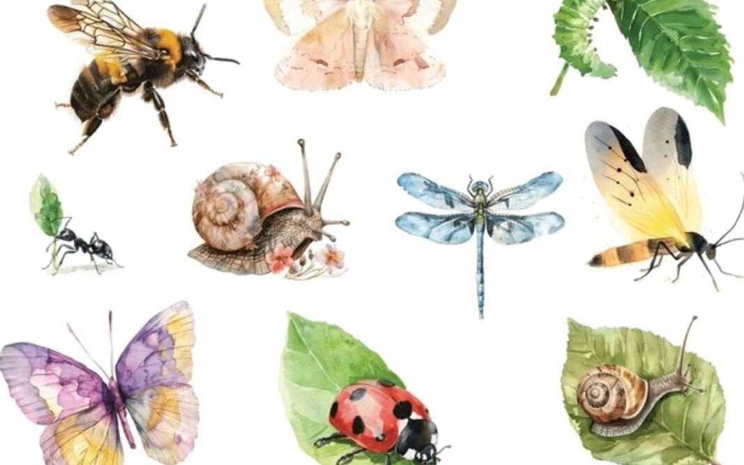 Atelier aquarelle insectes Bibliothèque Colette Vivier Paris