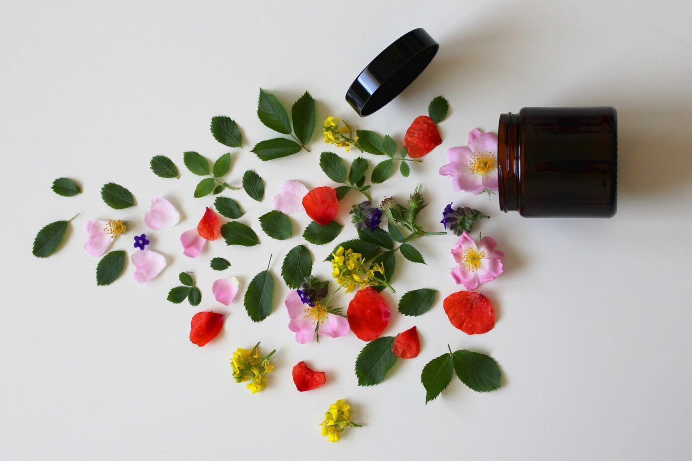 Atelier création de cosmétiques bio Le Monde d’Eva Biscarrosse