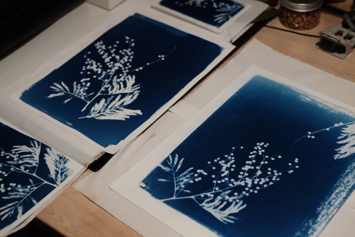 Atelier cyanotype, Ateliers Octopodes, Chambéry