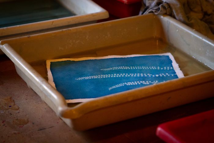Atelier cyanotype, Moulin de la Rouzique, Couze-et-Saint-Front