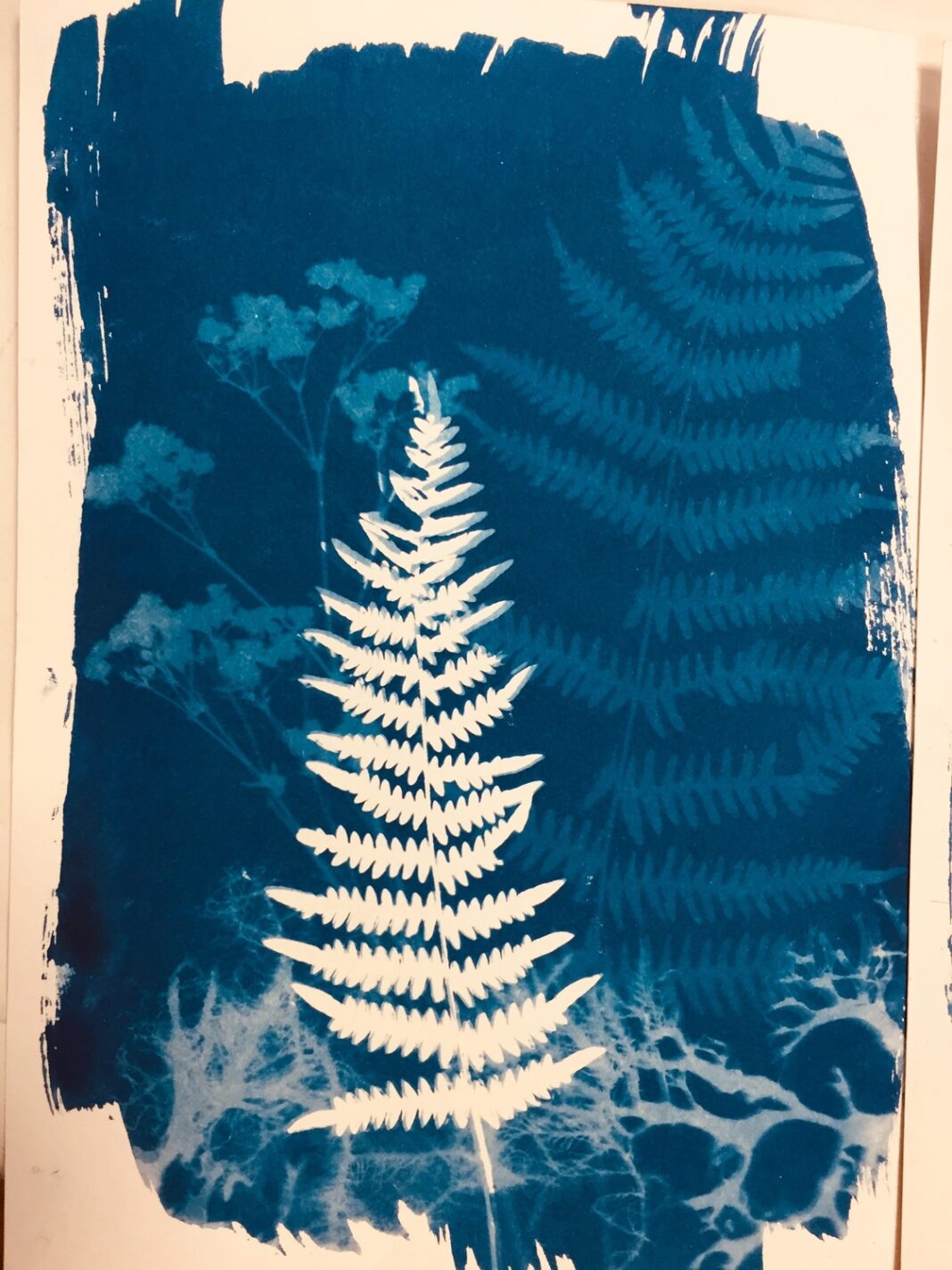 Atelier cyanotype sur papier Papeterie de Vaux Payzac
