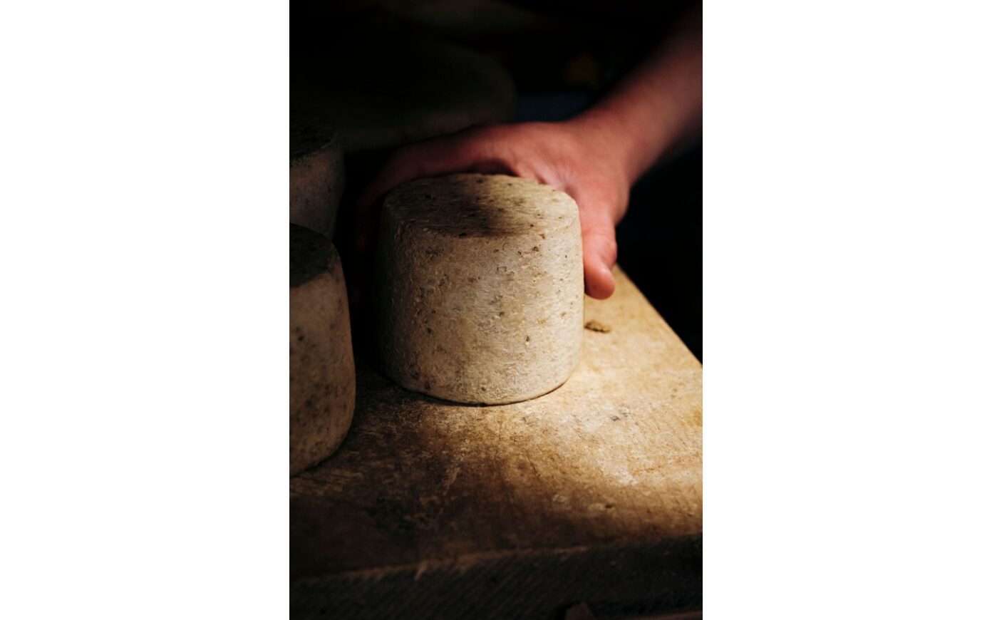 Atelier de fabrication Tommes de Brebis ou Chèvre La Laiterie Paloise Pau