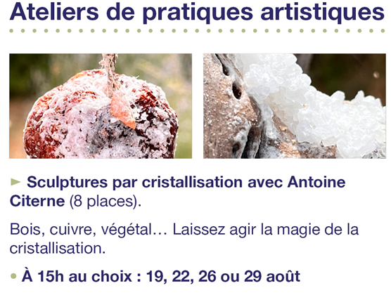 Atelier de pratiques artistiques sculptures par cristallisation  Lorris