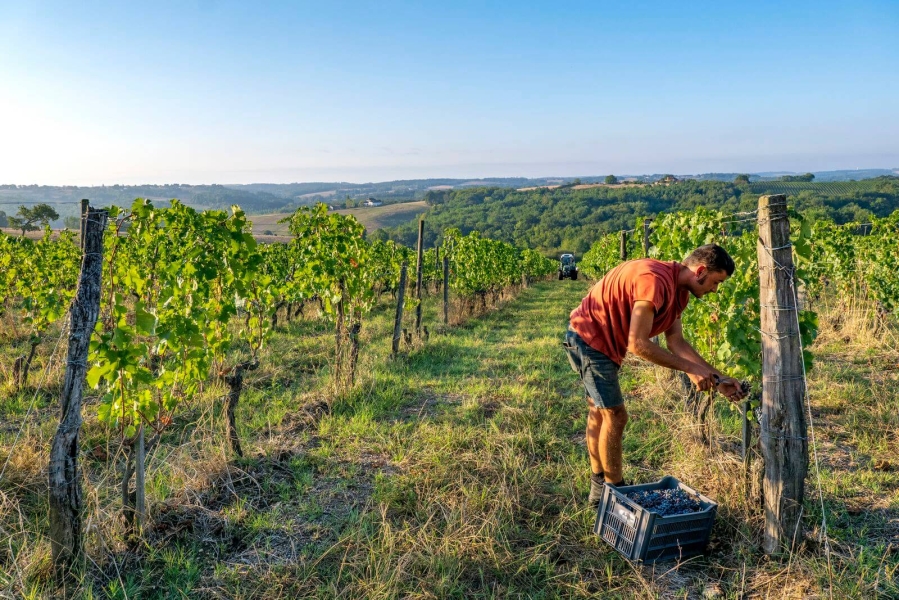 Atelier dégustation Vallée de la Garonne et affluents Le Chai Bordin Périgueux