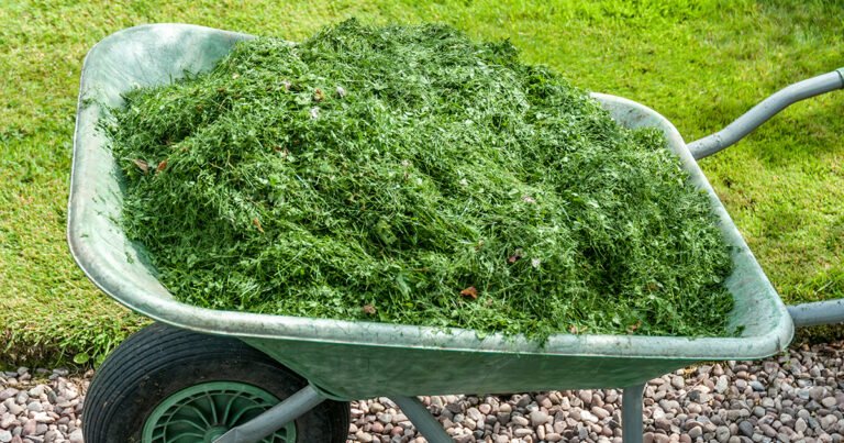 ATELIER DES SOLUTIONS POUR RÉUTILISER FACILEMENT LES DÉCHETS DE JARDIN  Grenade
