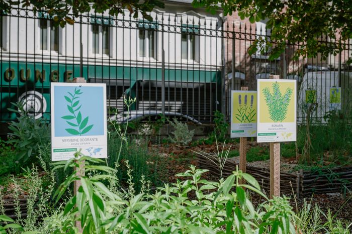 Atelier en famille – Les plantes magiques, Musée d’art et d’histoire Paul Eluard, Saint-Denis