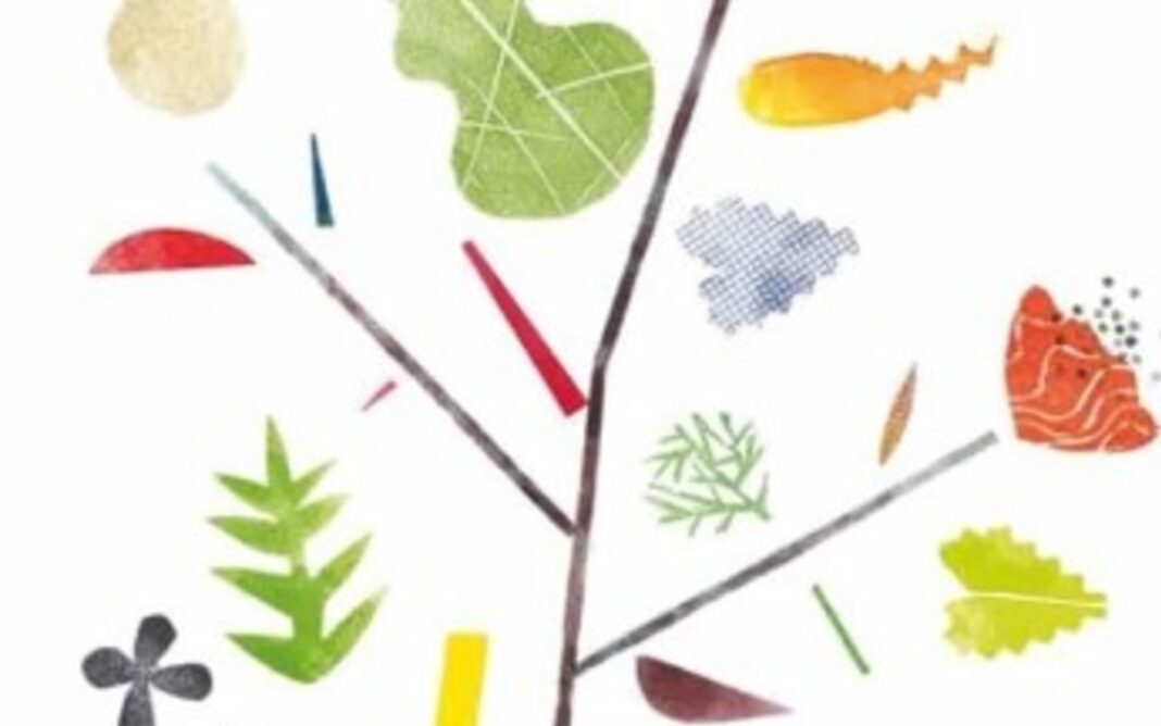 Atelier « Imprimons le jardin » avec Chiara Armellini Bibliothèque Colette Vivier Paris
