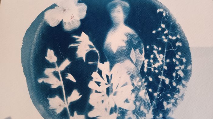 Atelier « La petite fabrique à cyanotypes », Musée de la Chartreuse, Douai