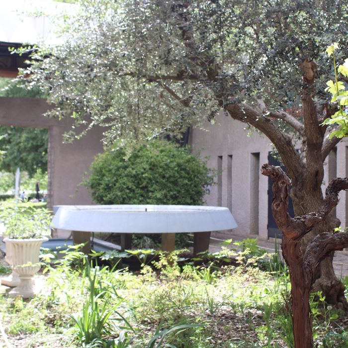 Atelier : le monde végétal du musée, Musée des Moulages – Université de Montpellier Paul-Valéry, Montpellier