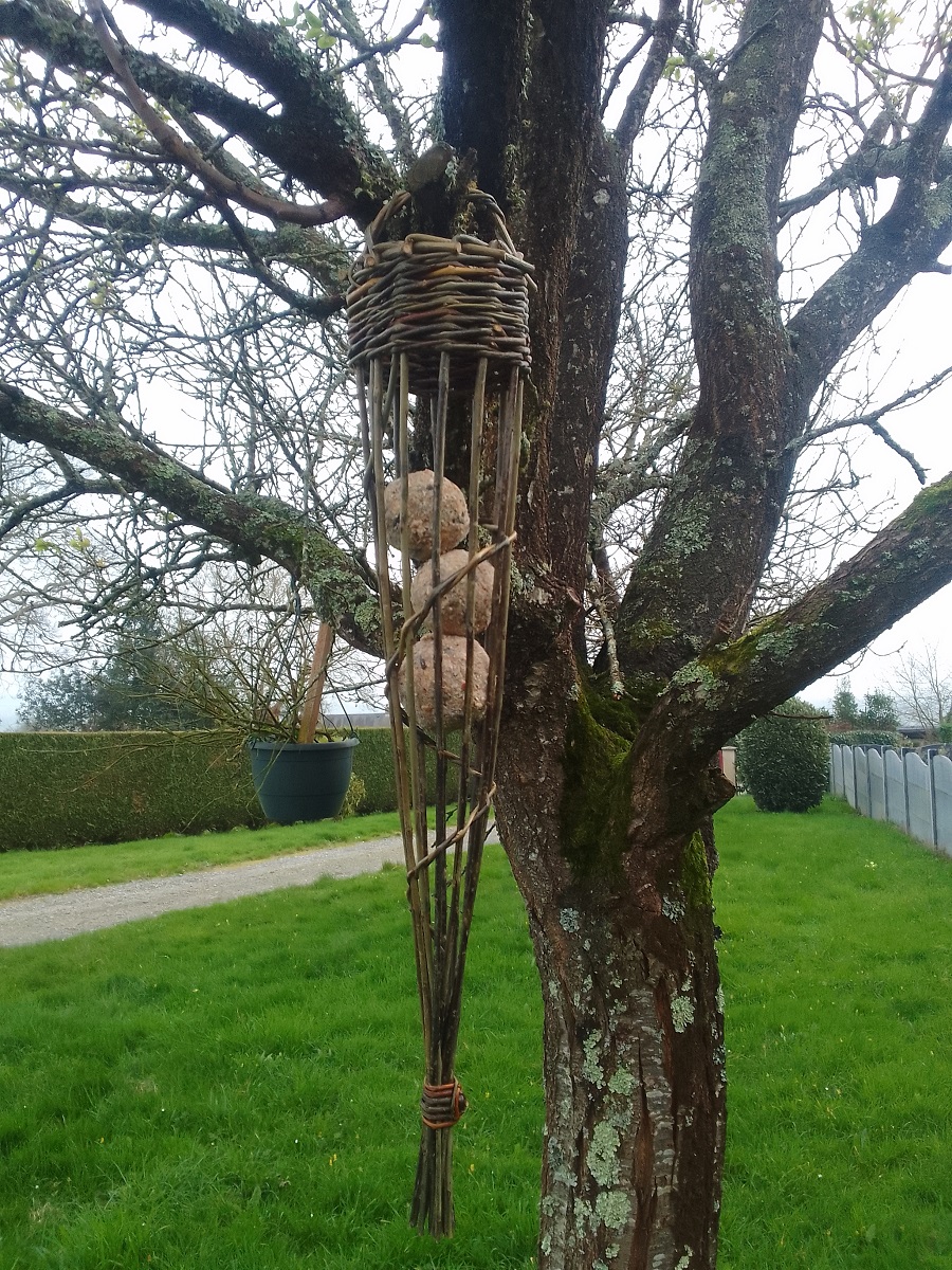 Atelier parent/enfant Fabrication d’une mangeoire à oiseaux en osier Lolif