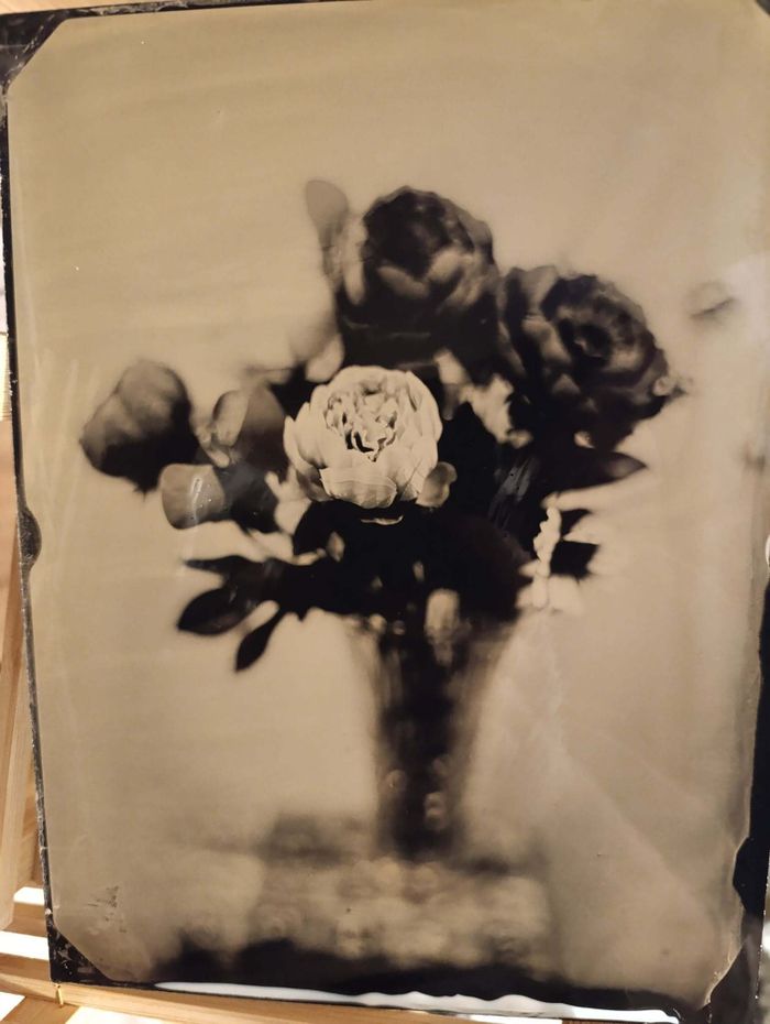 Atelier : Portraits au collodion humide, Ferme du Champ bressan – Musée du terroir – La Grange rouge, Romenay