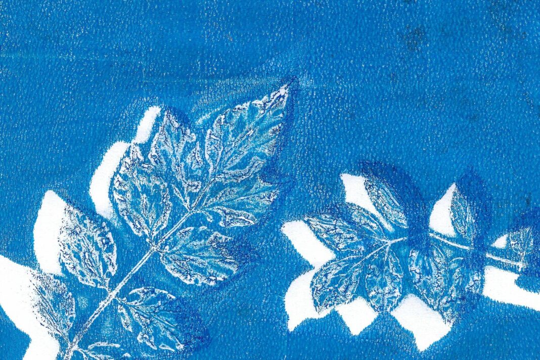 Atelier pour artistes en herbe | Cyanotype avec l&rsquo;artiste Mélissa Boucher Morales Centre d&rsquo;art de la photographie Bergerac