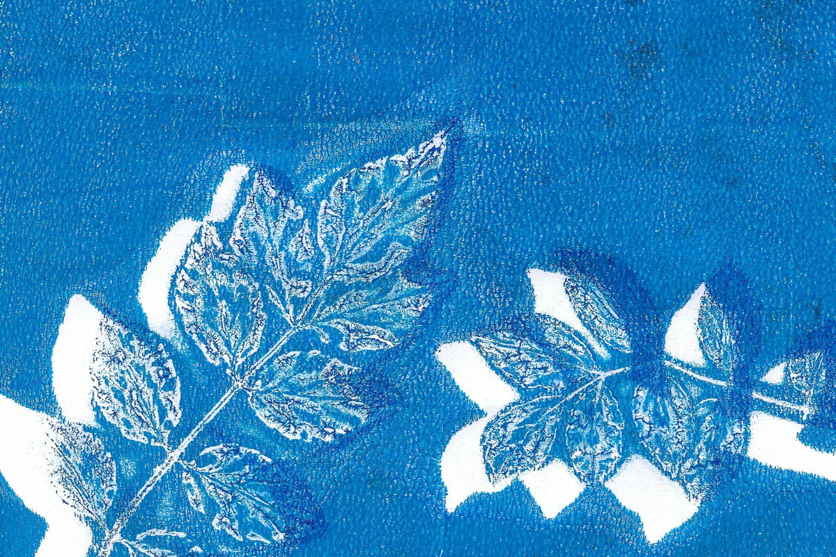 Atelier pour artistes en herbe | Cyanotype avec l'artiste Mélissa Boucher Morales 9 Rue Saint-Esprit Bergerac 2026-09-09