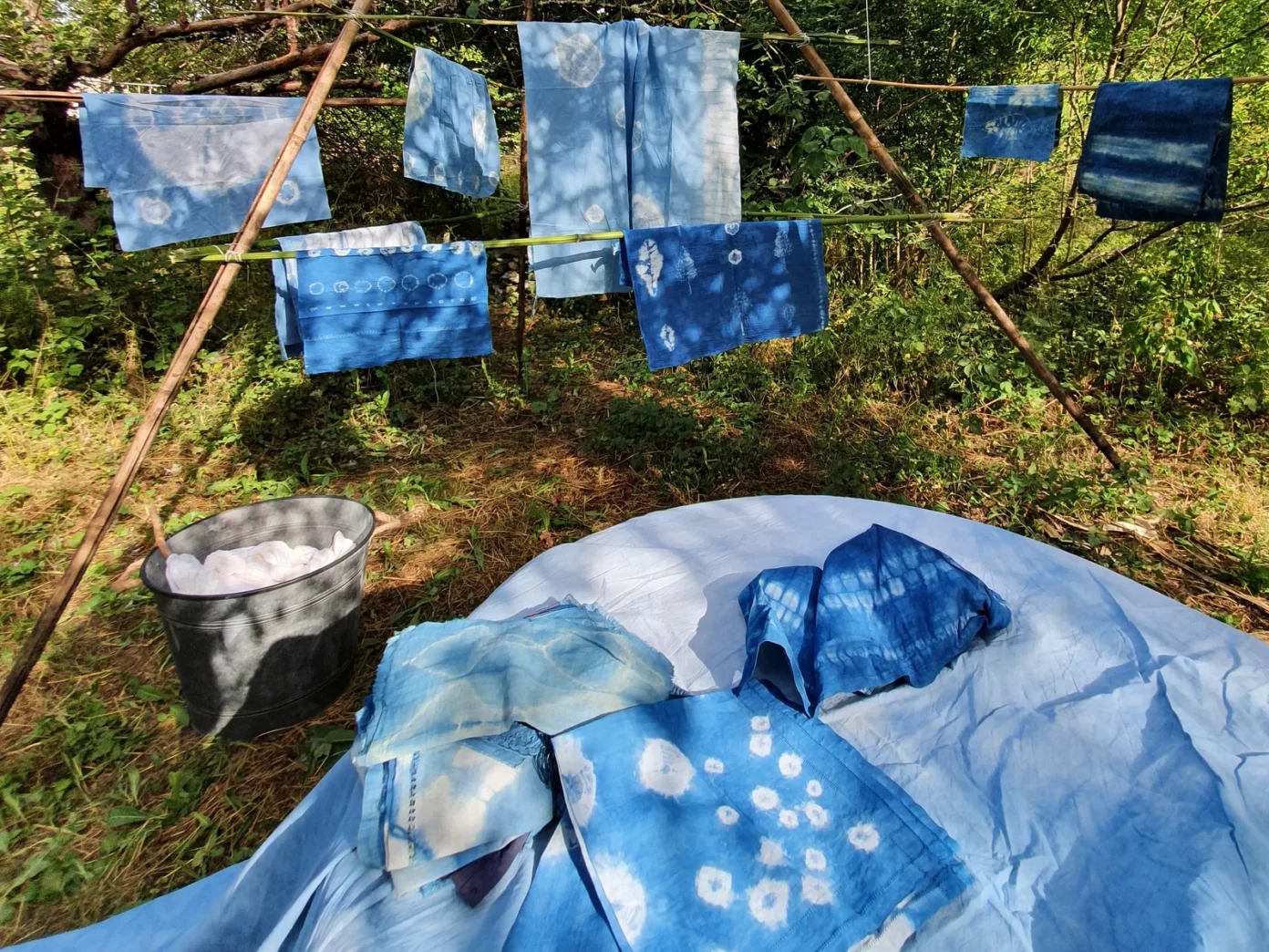 ATELIER TEINTURE VÉGÉTALE COMPLET AU JARDIN ET VISITE DE L’INDIGOTERIE Florac Trois Rivières