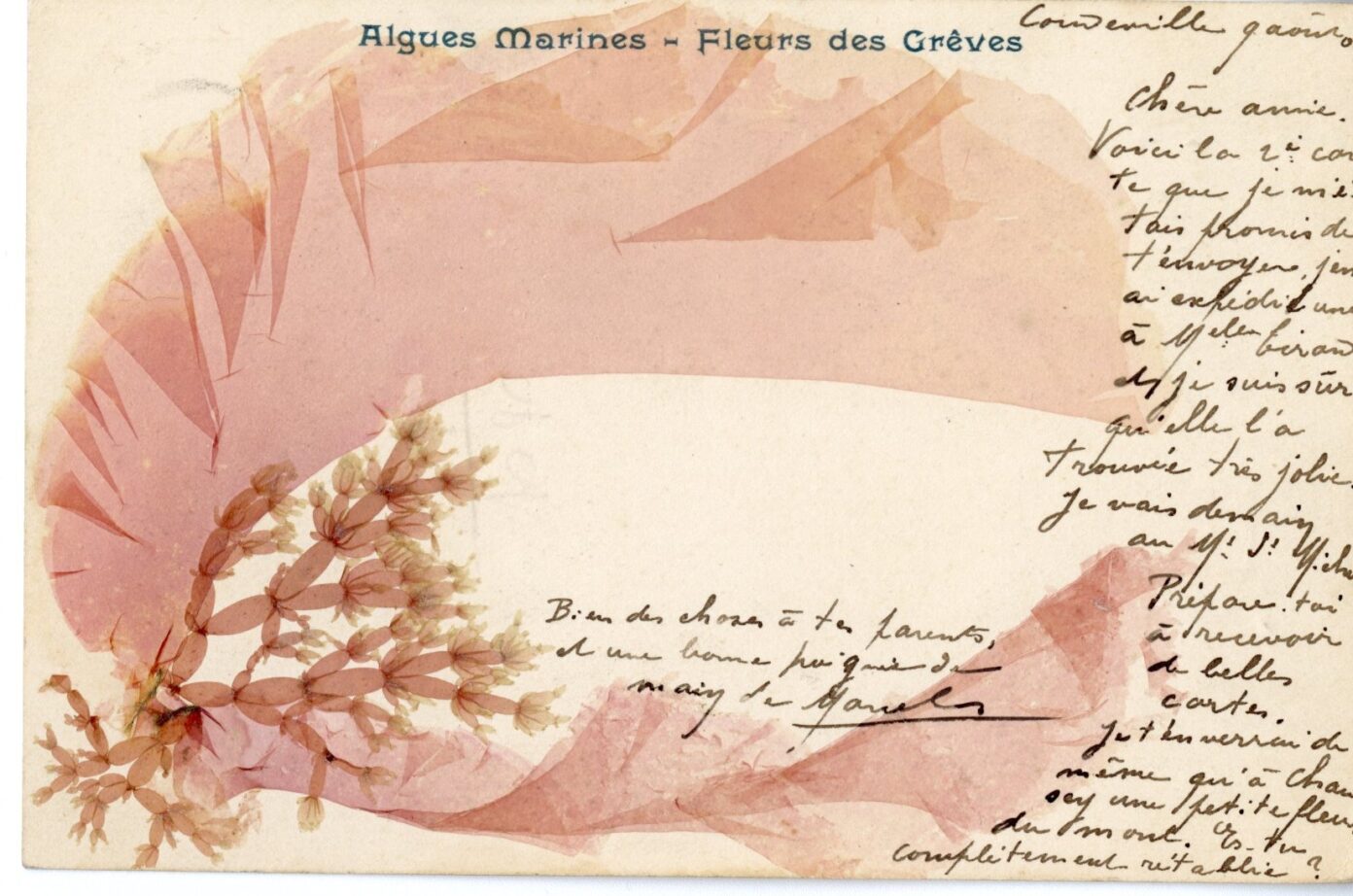 Atelierd’écriture autour de l’alguier de la naturaliste Maria Doublet avec Adeline Miermont Giustinati -Ile Tatihou Saint-Vaast-la-Hougue