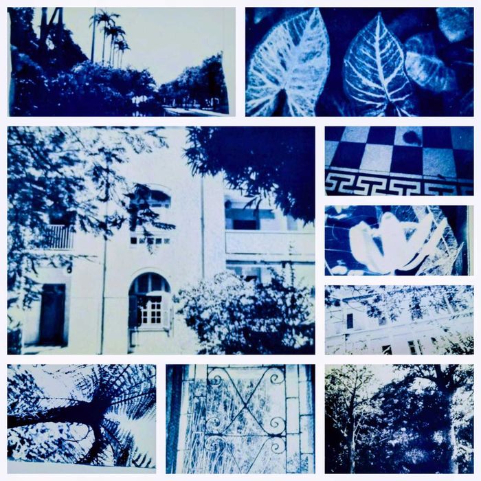 Ateliers créatifs cyanotype – « Patrimoine de la photographie », Musée Stella Matutina, Saint-Leu