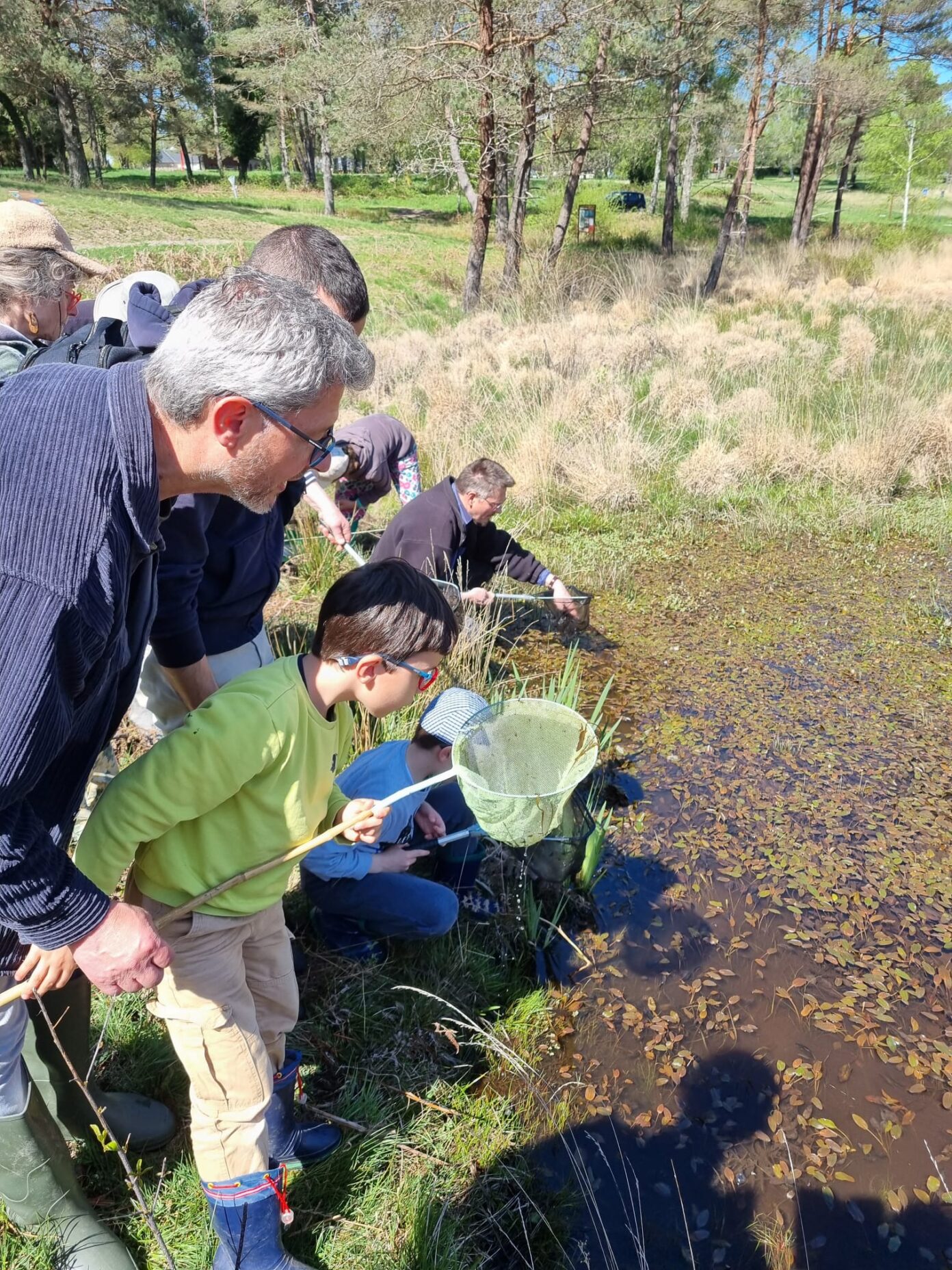 Ateliers-découverte la petite faune des mares et zones humides Saint-Julien-Maumont