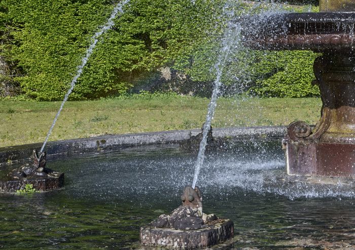Ateliers – « Grenouilles à la Fontaine » et « Grenouilles royales », Château de Vaux-le-Vicomte, Maincy