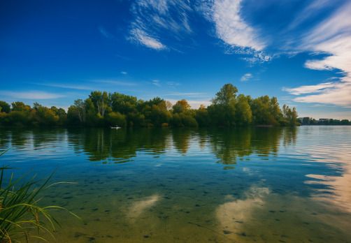 Au fil de l'eau : balade nature autour du lac de Bordeaux Bordeaux Lac Bordeaux