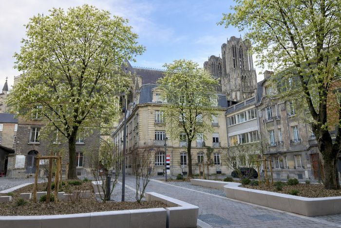 Autour de la cathédrale, Cathédrale Notre-Dame de Reims, Reims