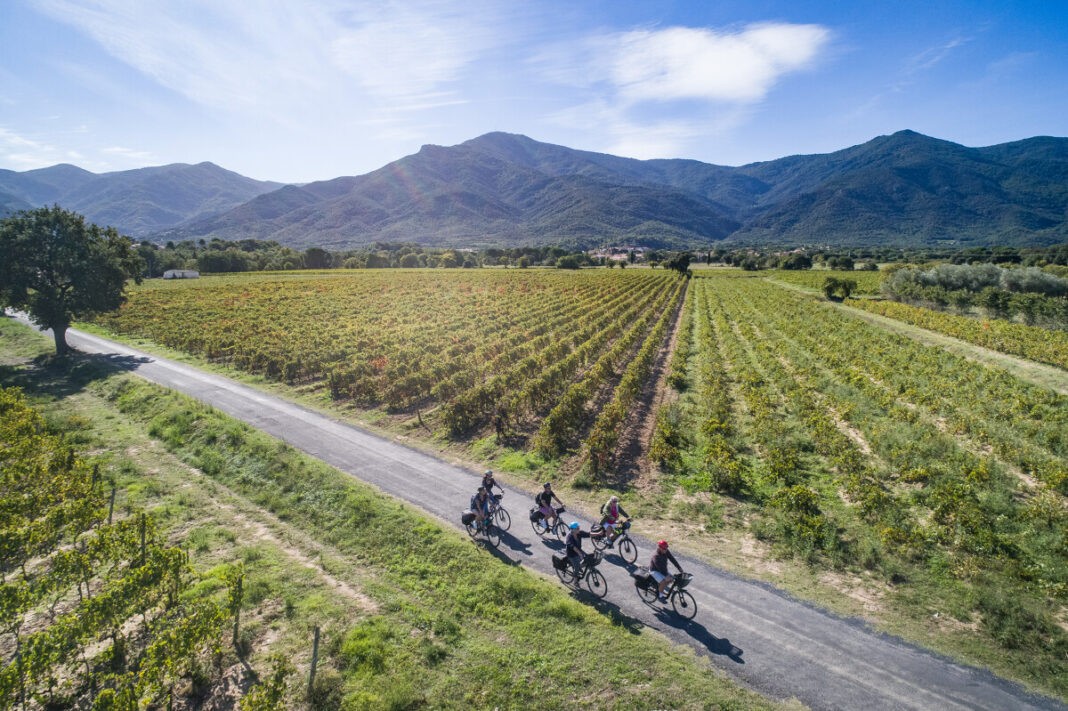 BALADE A VELO Laroque-des-Albères