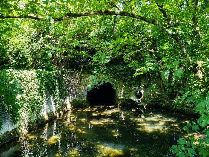 Balade au fil de l’eau, Lavoir, Tanlay 89430, Tanlay
