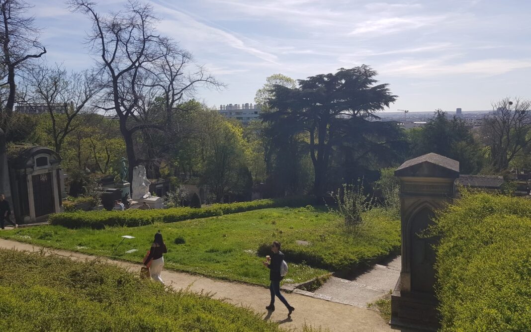 Balade botanique Plantes qui tuent, plantes qui soignent au Père-Lachaise Cimetière du Père-Lachaise Paris