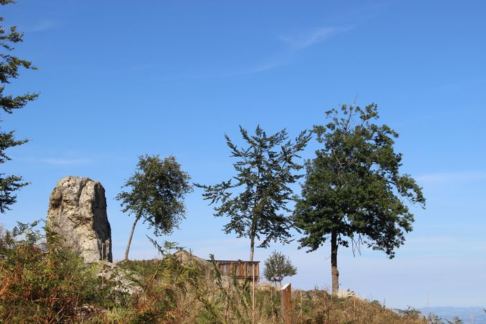 Balade contée sur les chemins du bois des Gaulois et du Sylvetum de Marols, Sylvetum Stade de Benoit Faure de Marols, Marols