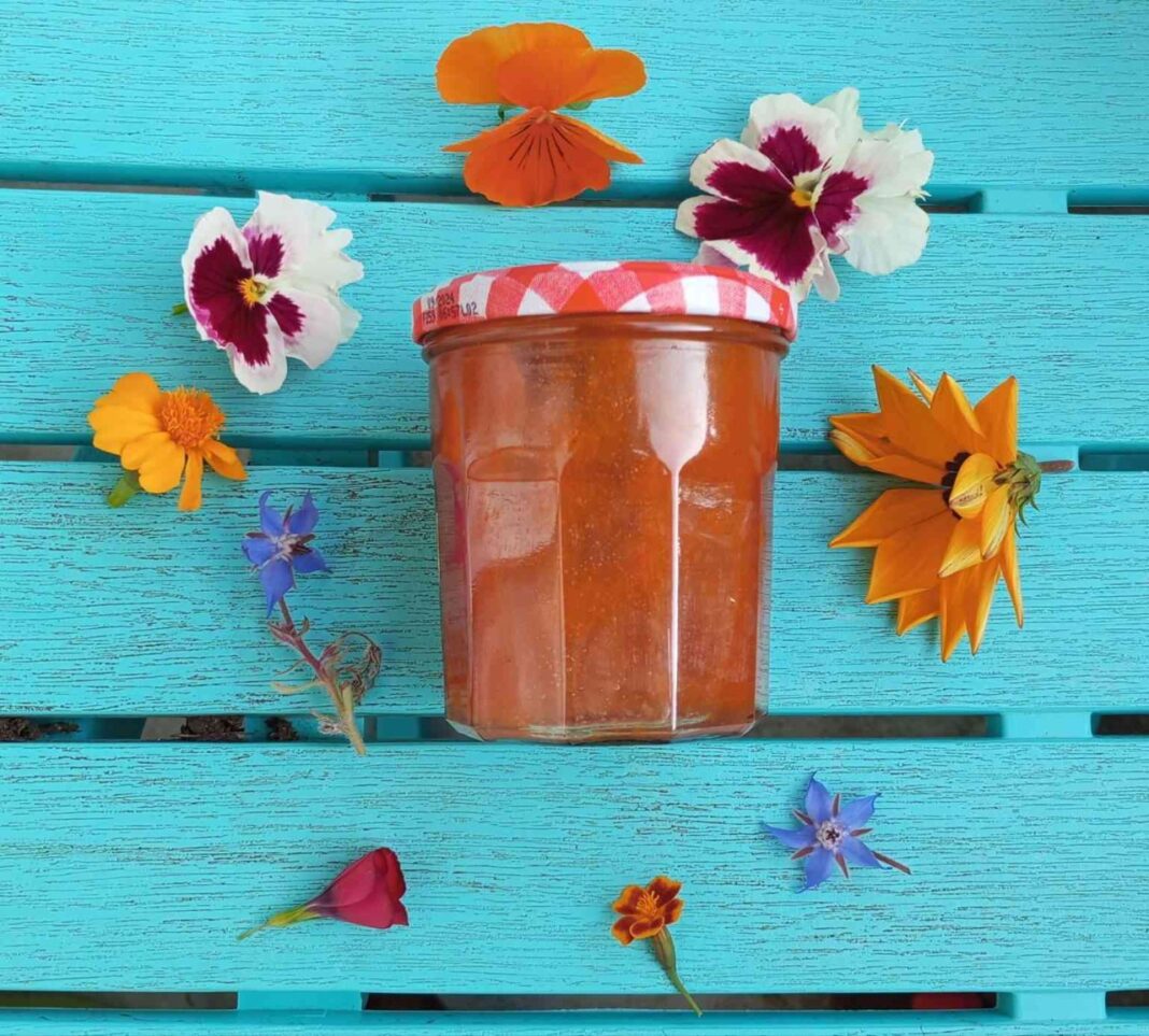Balade gourmande d’automne cueillette et atelier confiture  Cléry-Saint-André