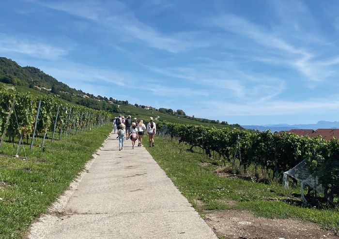 Balade gourmande - Mont-sur-Rolle Maison des Vins de la Côte Mont-sur-Rolle
