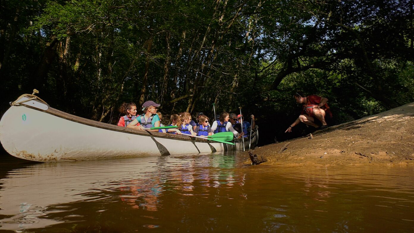 Balade guidée en canoë collectif sur la Leyre Départ Réserve Ornithologique  Le Teich