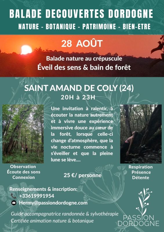 Balade nature au crépuscule  Coly-Saint-Amand