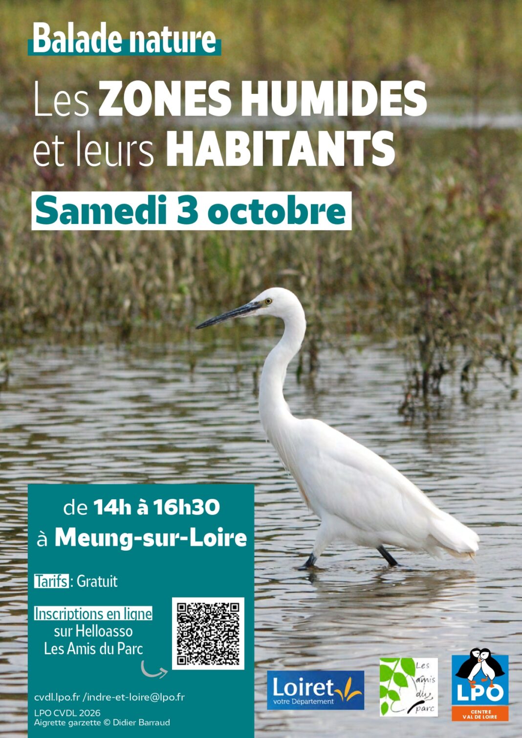 Balade nature Les zones humides et leurs habitants Meung-sur-Loire