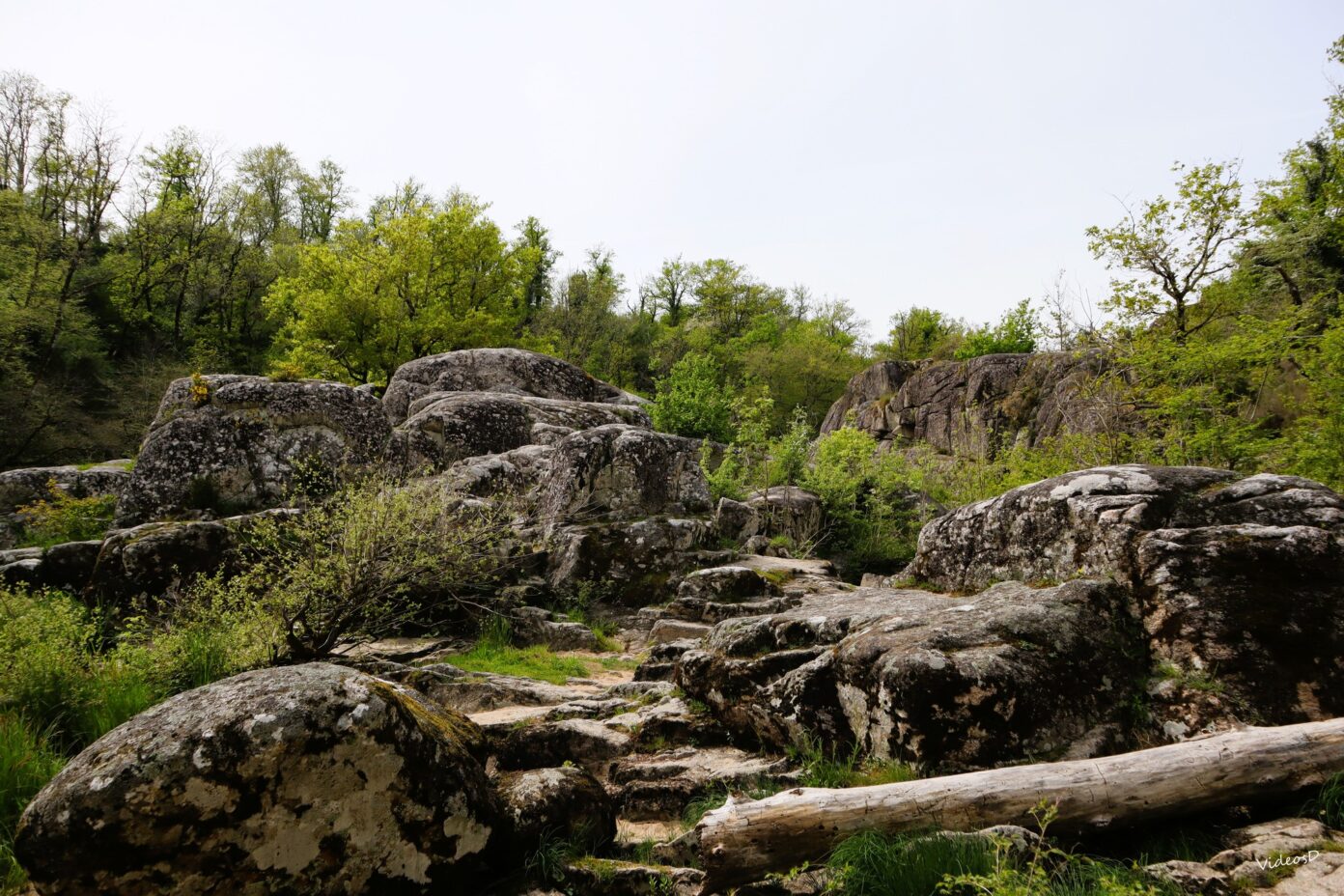 Balade sensorielle au Roc d’Enfer Lathus-Saint-Rémy