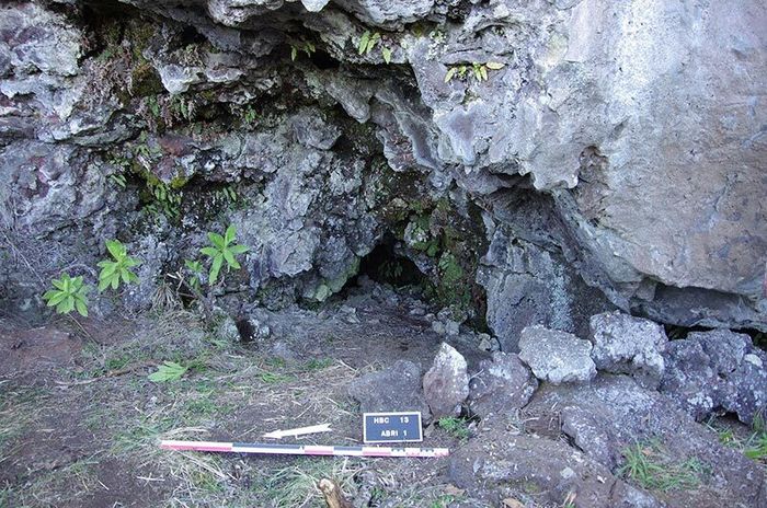 Bilan des recherches archéologiques dans les hauts de l’île, Médiathèque Barquissau, Saint-Pierre