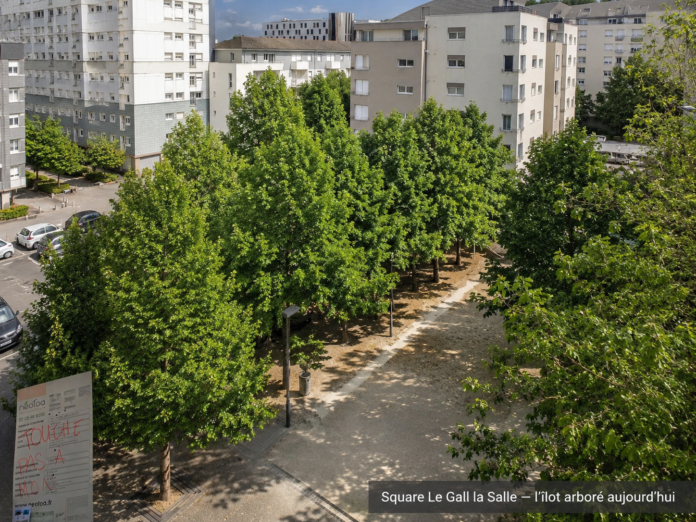 Néotoa boulevard de Verdun